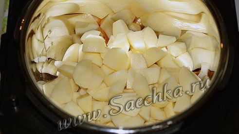 жаркое со свининой и картошкой в мультиварке steba