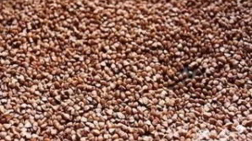 гречка, томленная со свининой