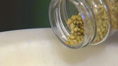 гречневая каша, запеченная с творогом