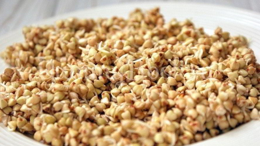 Рецепт пророщенной гречки