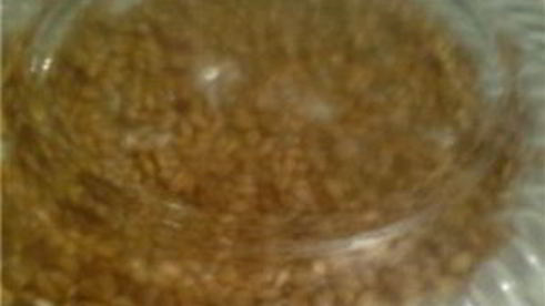 каша из проросшей пшеницы