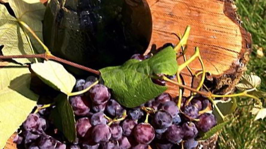 Рецепт домашнего вина из лидии