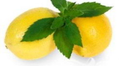 коктейль лимончелло с шампанским