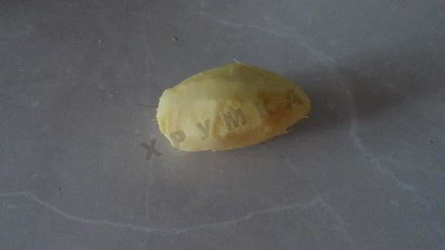 имбирный лимонад с яблоками и лимонами