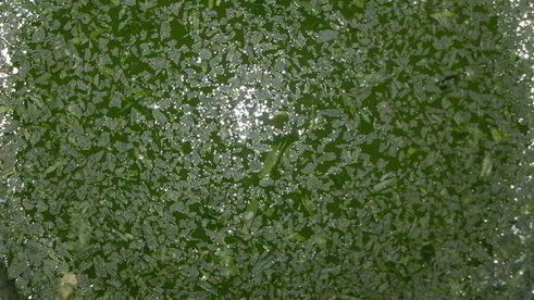 лимонад тархун