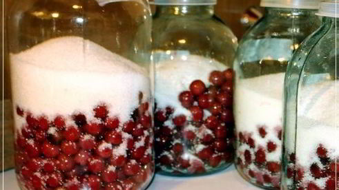 вишневая наливка