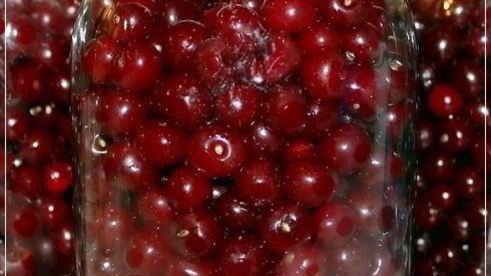 вишневая наливка