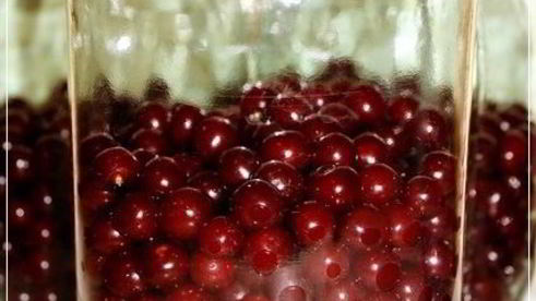 вишневая наливка