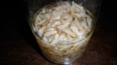 напиток из акации на зиму