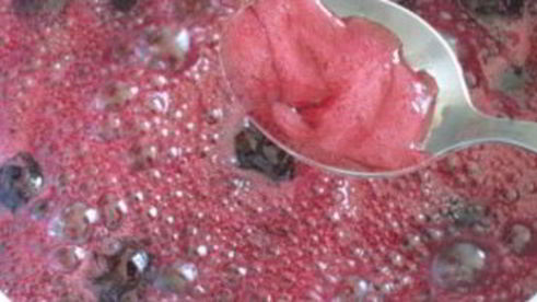 вино из терна без дрожжей