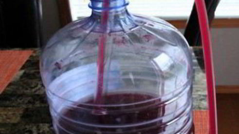 вино из терна без дрожжей