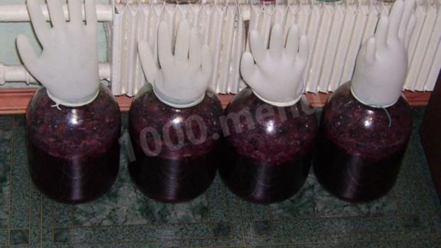 Рецепт вина из винограда северных сортов