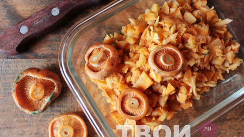 салат из рыжиков