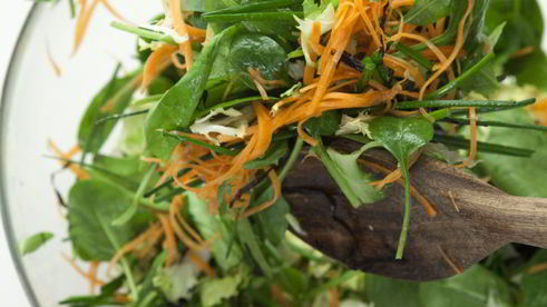 салат из шпината, щавеля, фризе и водорослей