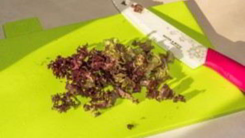 салат лолло росса