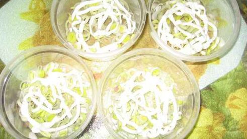 салат сельдь под шубой