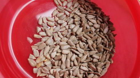 салат под водочку