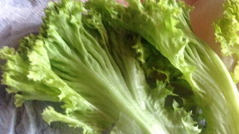 салат с тунцом