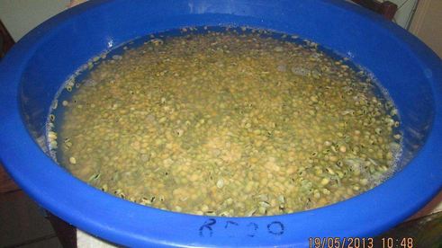 соевая паста тяй