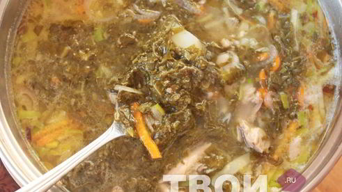 борщ со щавелем