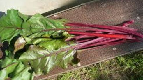 борщ свекольный