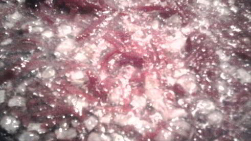 борщ в горшочках