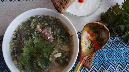 зеленый борщ с крапивой