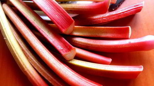 гаспачо из ревеня и вишни