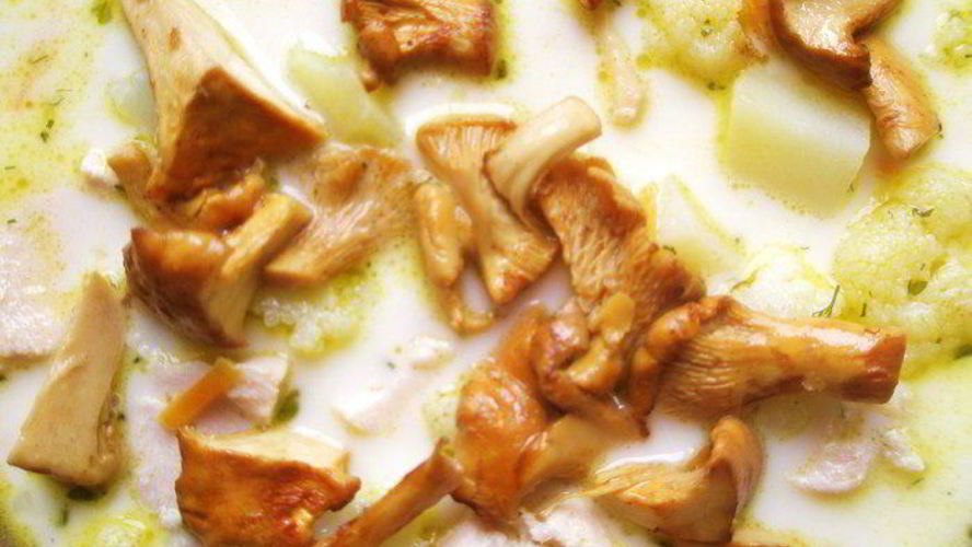 Рецепт куриного супа из цветной капусты с лесными грибами