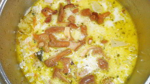 куриный суп из цветной капусты с лесными грибами