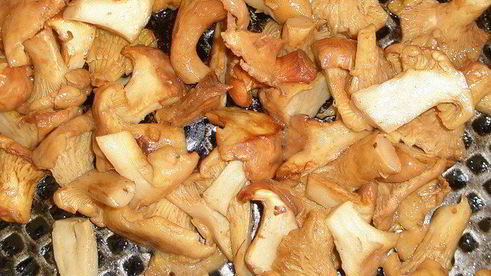 куриный суп из цветной капусты с лесными грибами