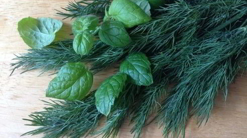 окрошка-мохито