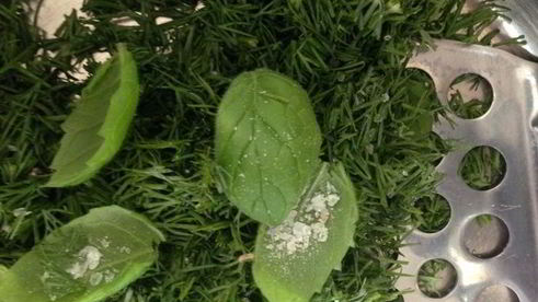 окрошка-мохито