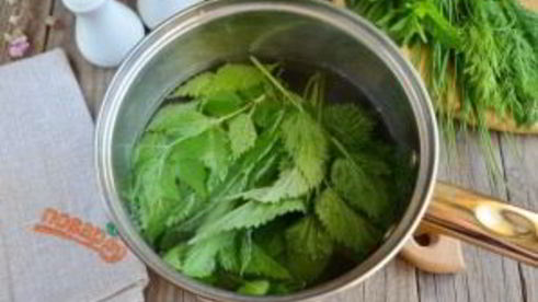 окрошка на кефире с крапивой и мятой