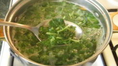 щи из крапивы