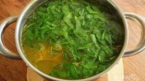 щи из одуванчиков