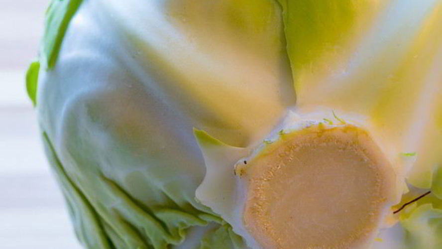 Рецепт солянки из капусты