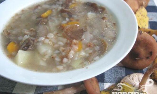 Суп из опят с гречкой