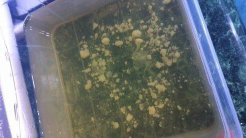 чечевичный суп-пюре