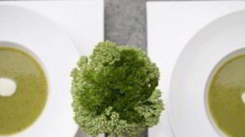 суп-пюре из брокколи