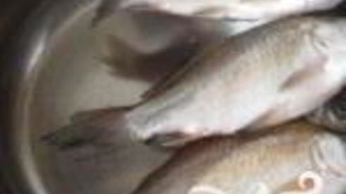 уха из карася