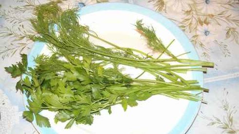 уха из семги