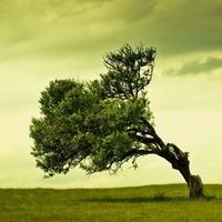 Александр Алексахин