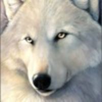 Чернюк Ксюша