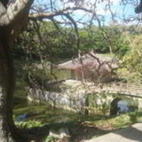 Ирина Адачи