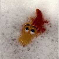 Льюю Брадель