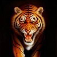 Марина Софьянчук