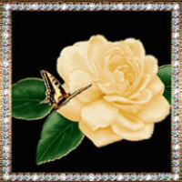 Шуппе Кристина