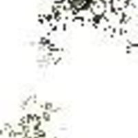 Тамара Гулиц