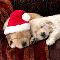 Татьяна (ТаняК)